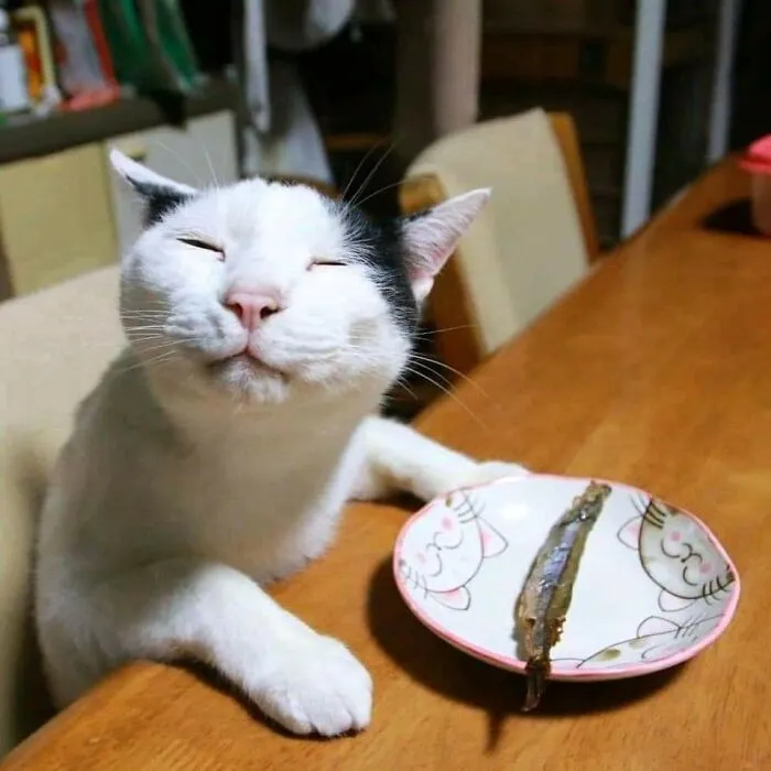 Give My Compliments To The Chef