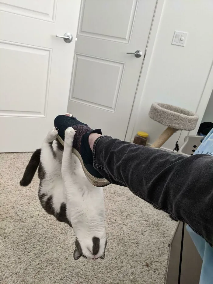 Oliver Can Be A Bit Clingy