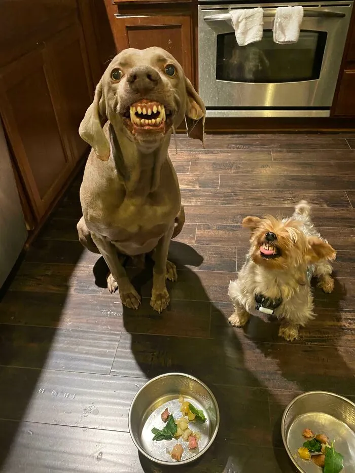 Patataaaaaaaaaaa