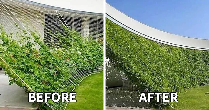 Instagram Account Showcases How Good Design Can Transform A Space And Here Are 30 Of The Best Before & After Pics (New Pics)