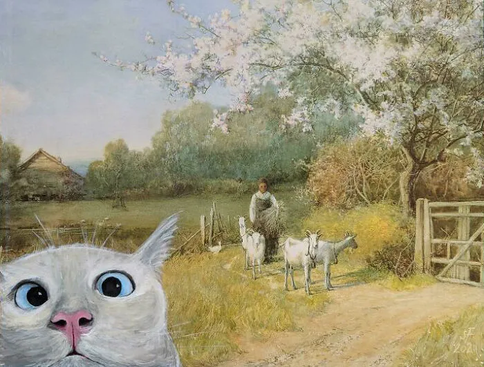 Cat Bombing, My Latest Thing. Didn't Remember To Take A Before Picture But Think It's Pretty Obvious What I Added