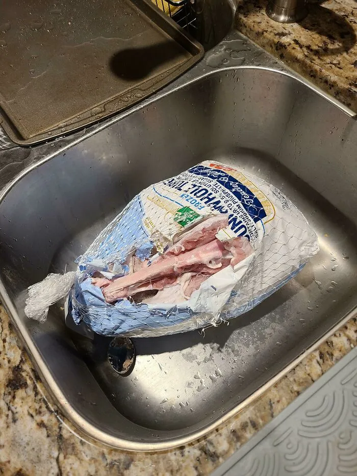 My Cat Ruined Thanksgiving