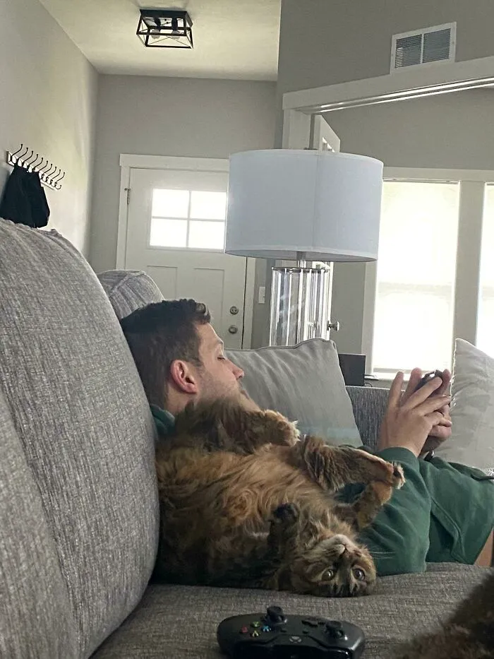 Her Favorite Way To Lay On The Couch
