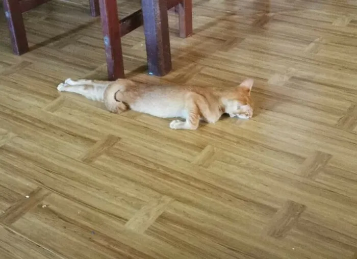 Mondays Be Like