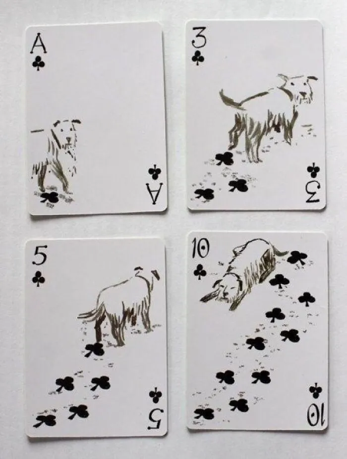 Cartas de perros