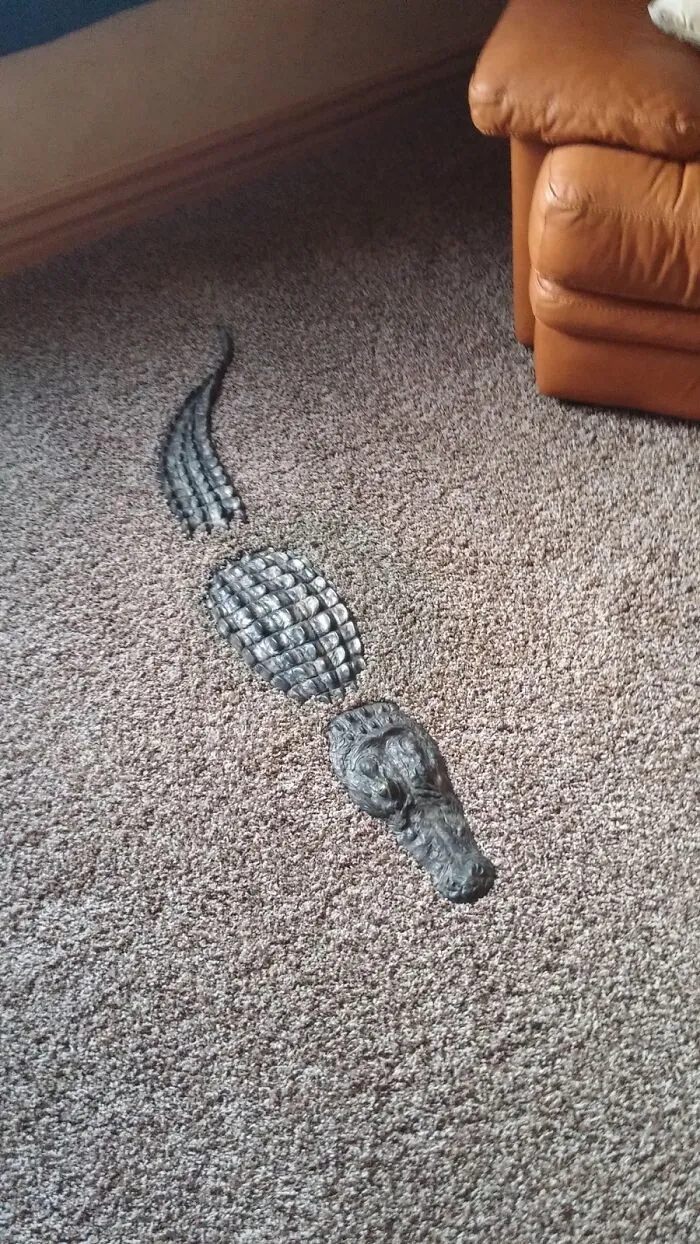 This Guy Lurking In The Living Room
