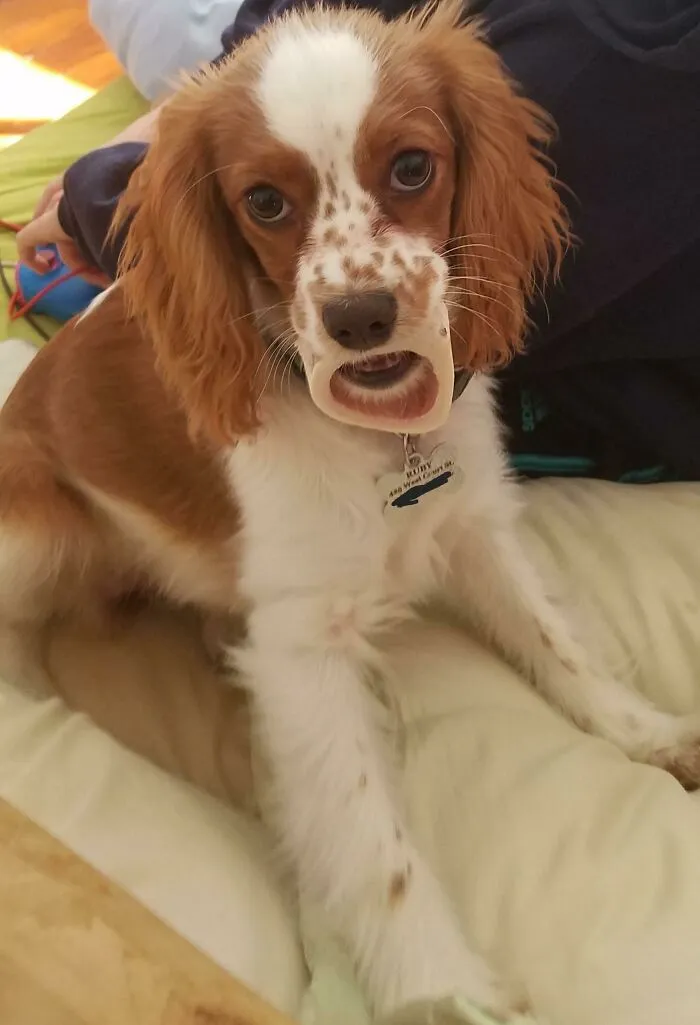 Ruby