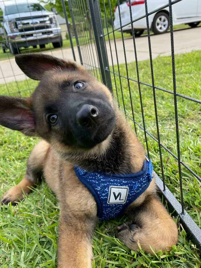 Ellie
