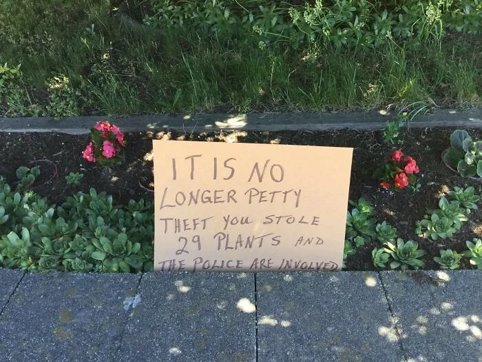 As Someone Who Just Started Their Own Little Outdoor Garden, I'd Be So Pissed