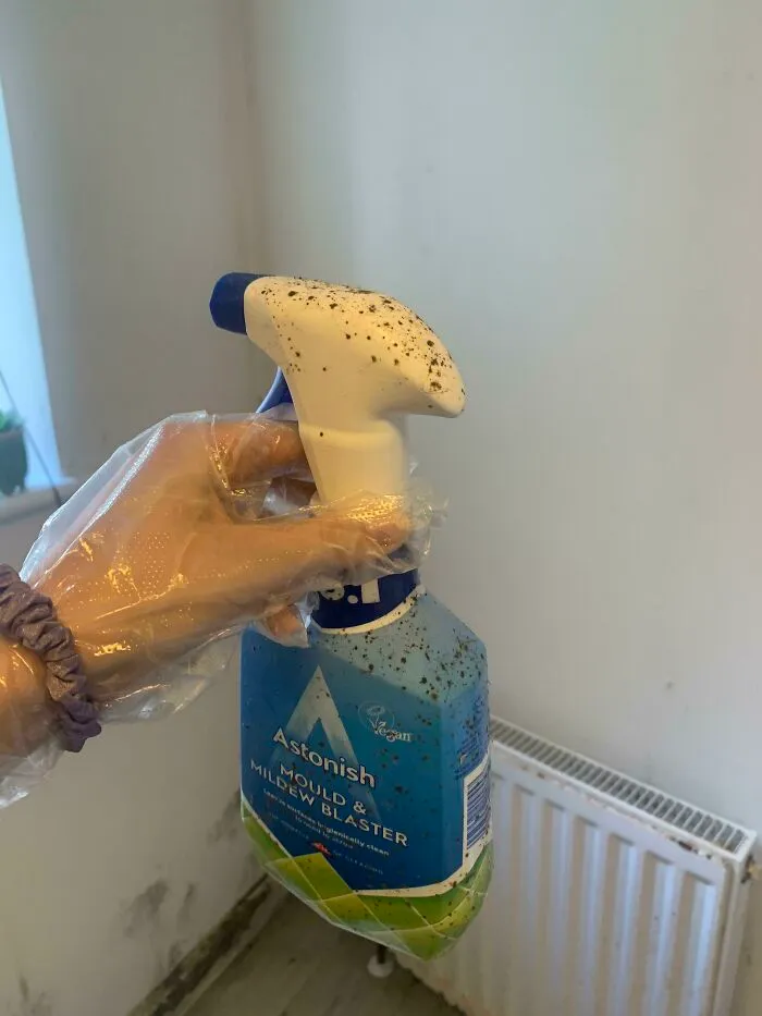 Mould Killer In My Bathroom Is Itself Mouldy... I Hate This Flat So Much...
