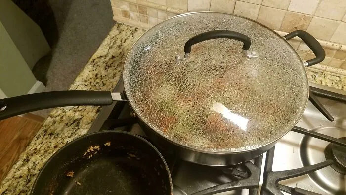Tempered Glass Lid Shattered, Giving Me Schrodinger's Stir-Fry