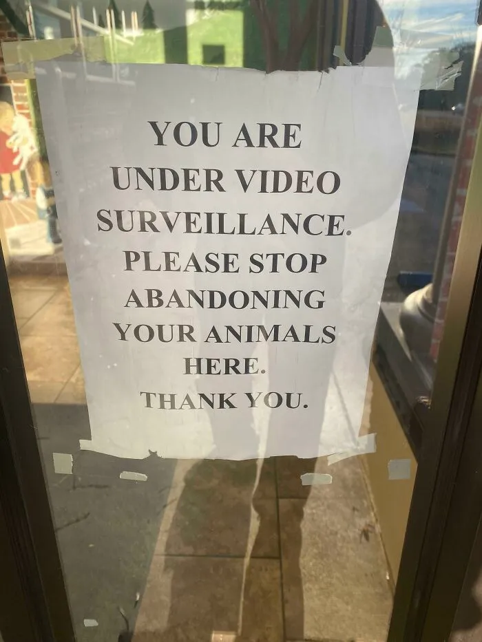 En una clínica veterinaria