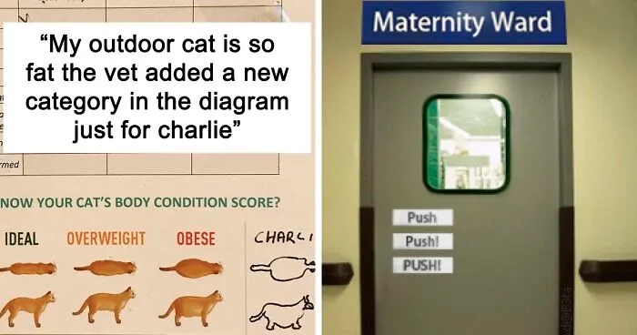 50 Times People In The Medical Field Did Something Extra To Make Their Patients Smile