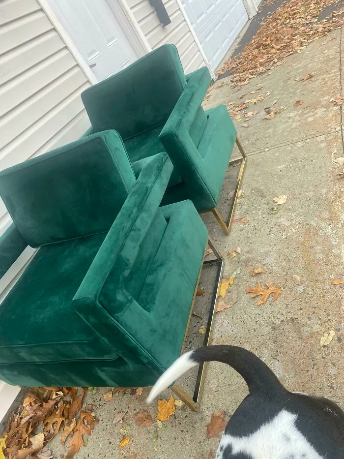 Nunca me había puesto tan feliz por algo que encontré en la basura 