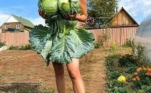 50 Funny Photos Without Context That Get Weirder The Longer You Look At Them