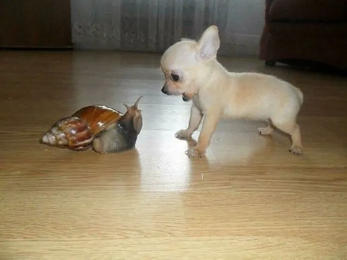 Hmmm