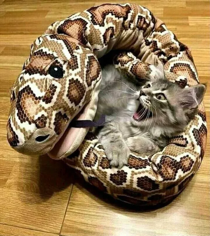 Hmmm