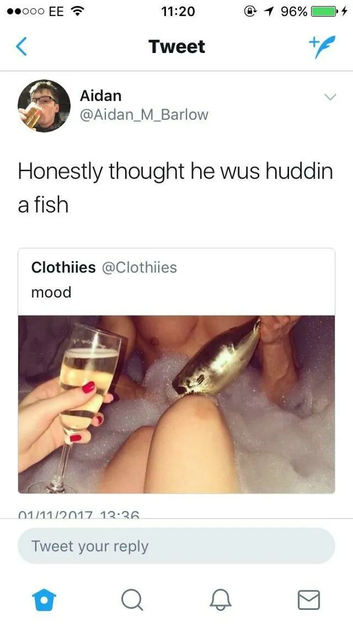 Here Fishy Fishy