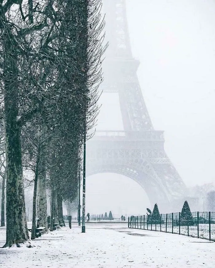 This Perspective Of Eiffel Tower