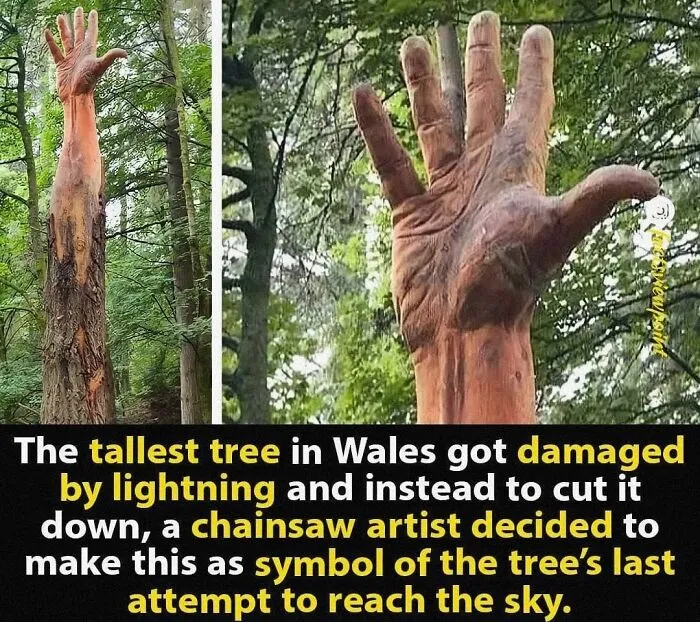 I Don't Want To See This When I Go Hiking