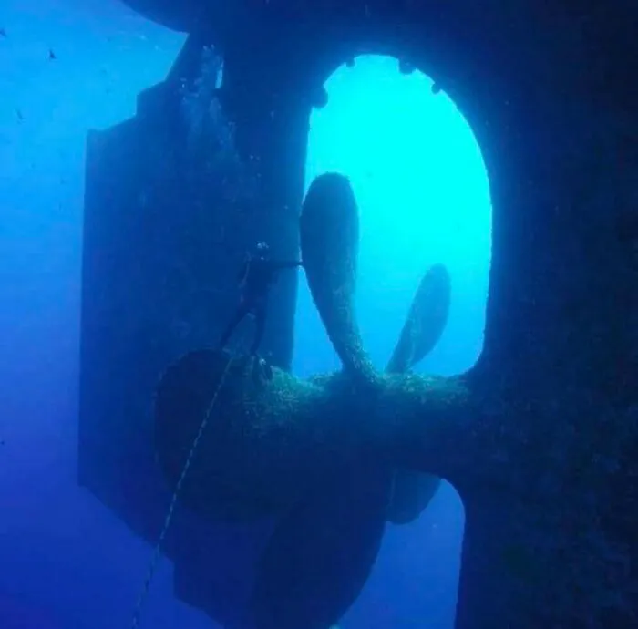 Alucinante