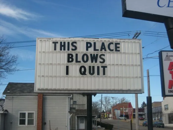 I Also Quit My Job