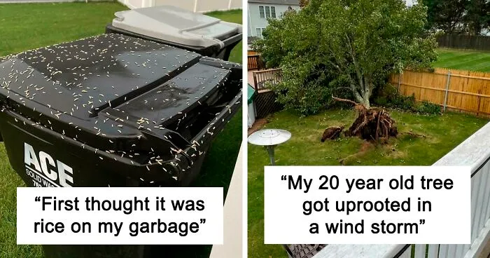 50 People Who Are Having A Worse Day Than You With Their Homes (New Pics)