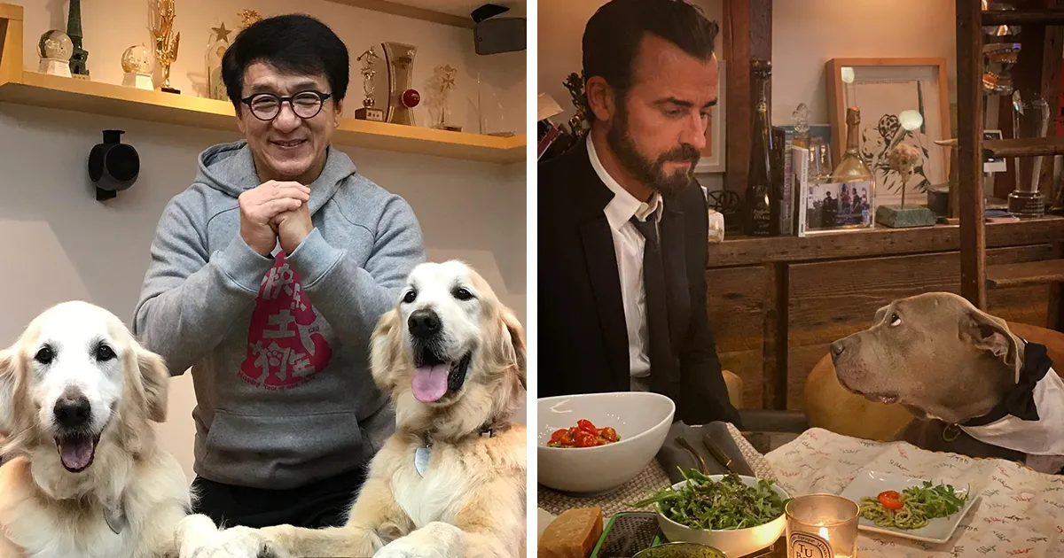 30 Celebridades que son conocidas por su inmenso amor a los perros