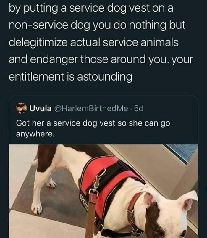 This Lady Too Entitled To Respect Disabled People And Their Medical Equipment