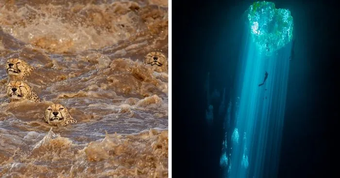 The Nature Conservancy Announces Their Photo Contest Winners Of 2021 (20 Pics)