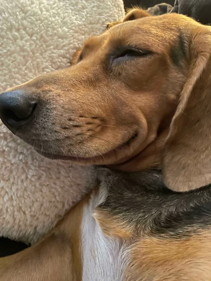 ¡Aquí está nuestra nueva adopción!