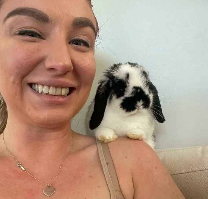 Todos, conoced a Prudence. Es una Holland Lop que adopté de la granja de un amigo. Le gusta sentarse en mi hombro como un loro 