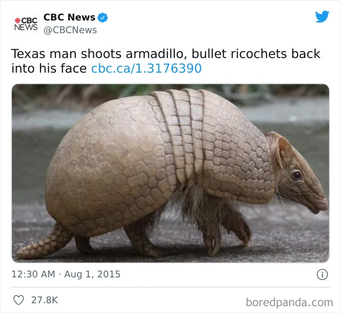 Karmadillo, Weaponless Hunter Of Man