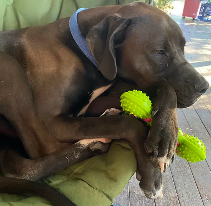 He Likes To Sleep With His Toy