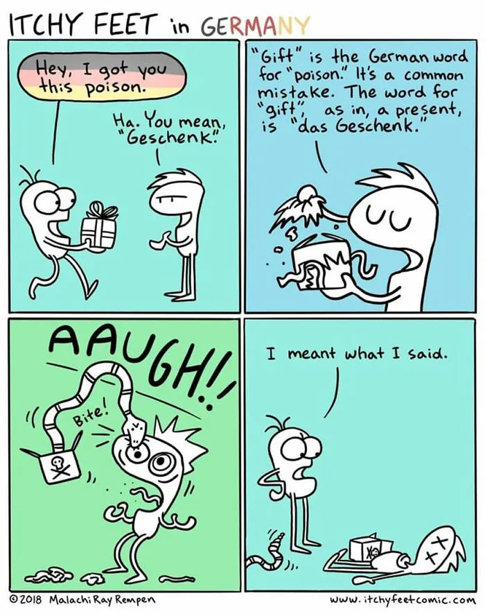 30 New Comics That Show The Funny Differences Between Different Countries And Languages