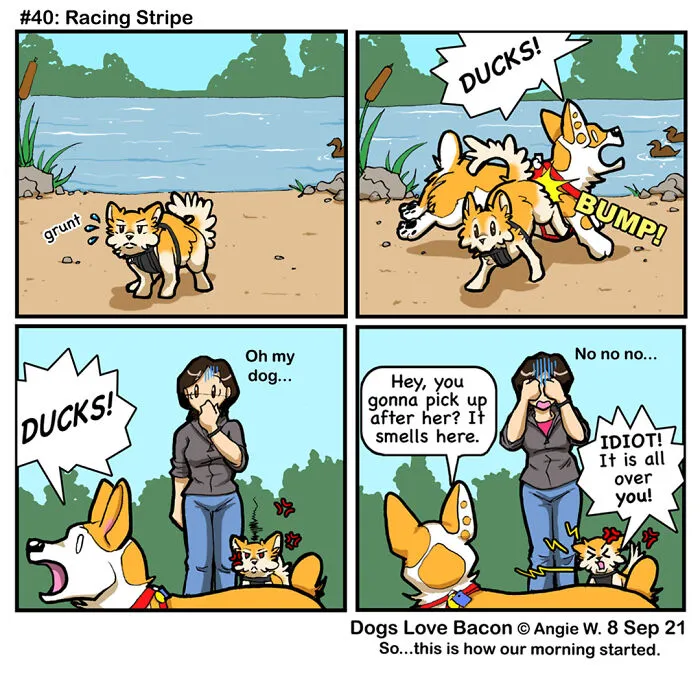 Adventures Of Living With Two Rescue Dogs: 26 Comics I’ve Made