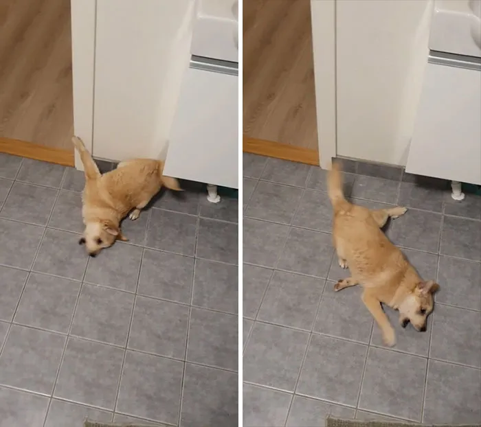 Post-Shower Trauma