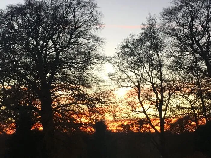 Meanwood Sunset
