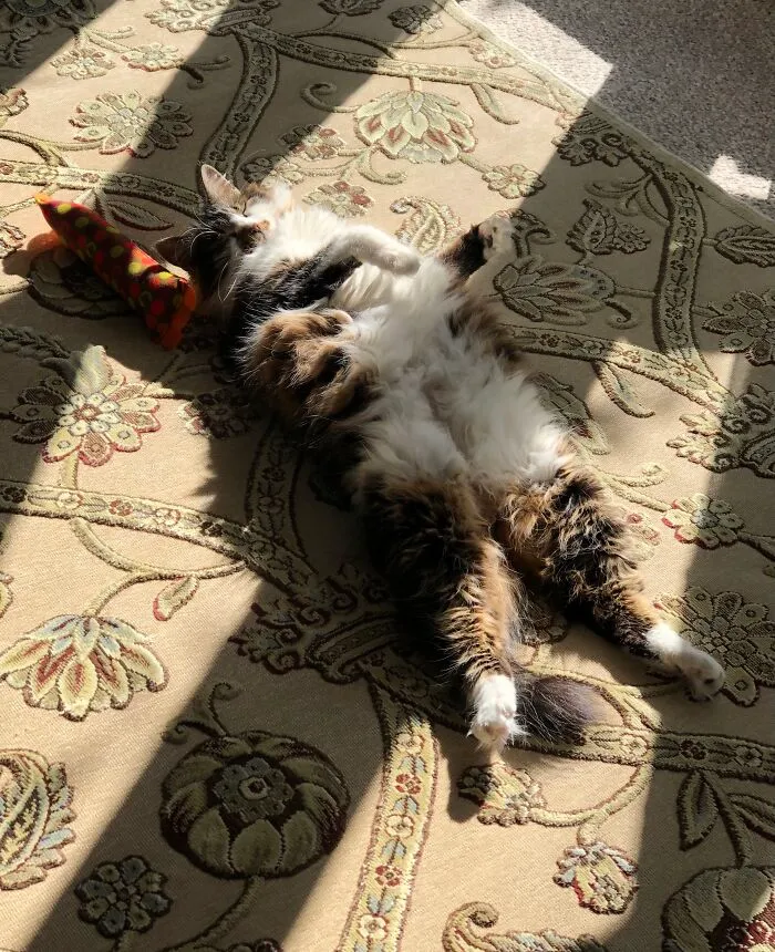 Fluff!