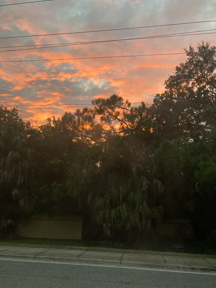 Suburban Sunset