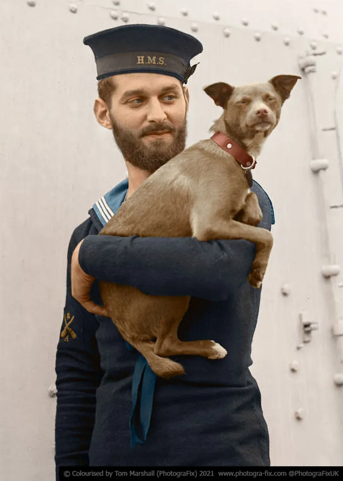 Royal Navy Mascot