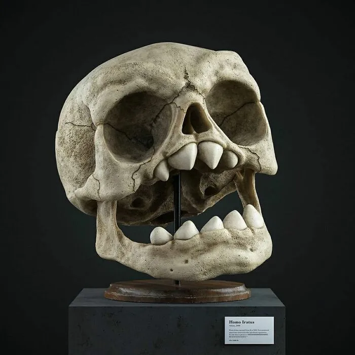 Homo Iratus