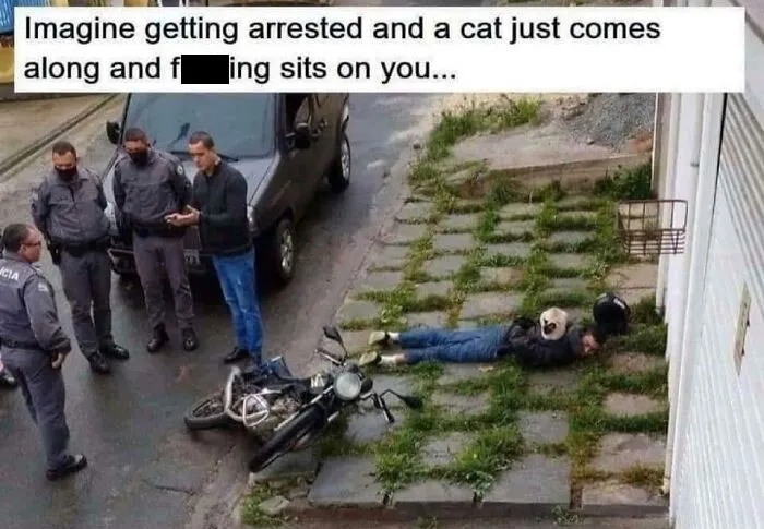 50 Times The Universe Decided To Troll One Person Specifically And It Resulted In These Funny Pics