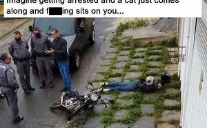 50 Times The Universe Decided To Troll One Person Specifically And It Resulted In These Funny Pics