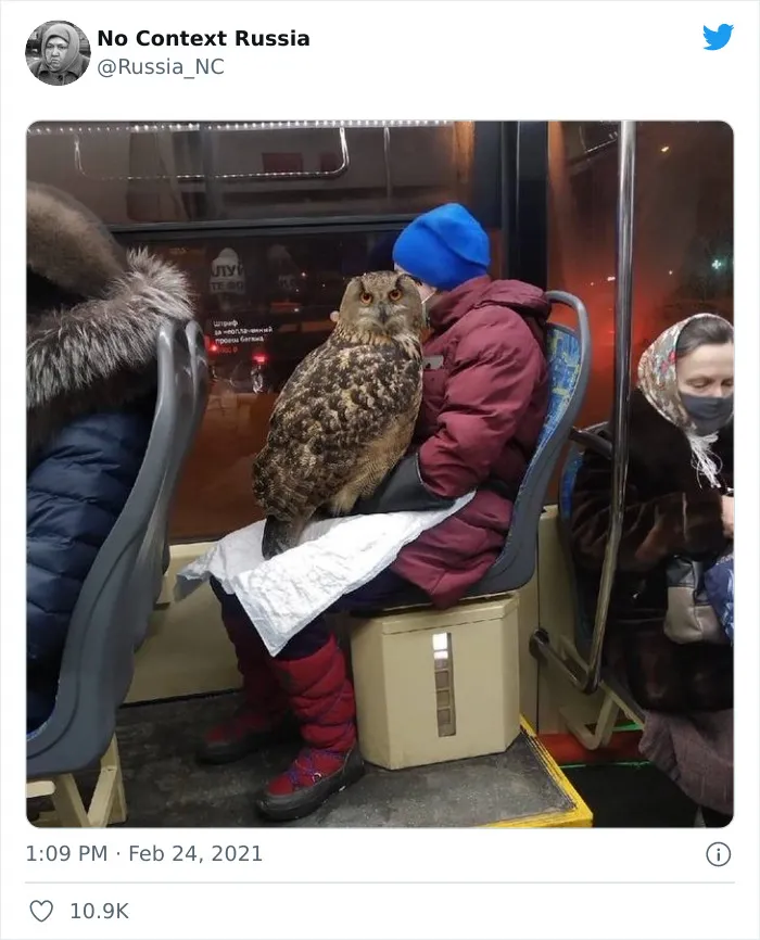 "Rusia fuera de contexto": 40 fotos que demuestran que Rusia es diferente a cualquier otro país