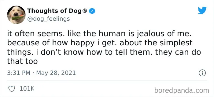 40 Of The Most Hilarious And Wholesome Dog Thoughts, As Shared By This Twitter Account (New Pics)