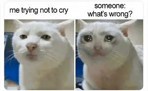 This Twitter Page Is Dedicated To Jokes And Memes Many Of Us Will Probably Relate To (50 Pics)