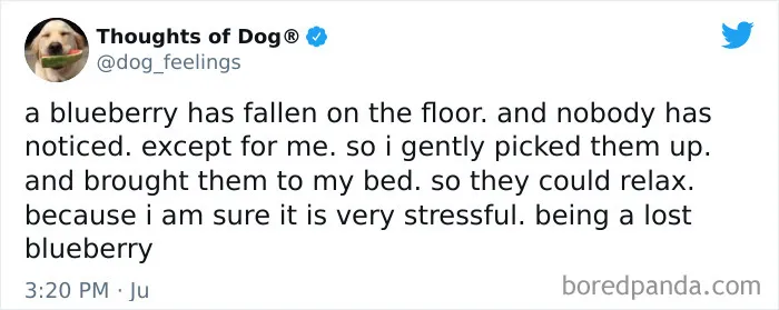 40 Of The Most Hilarious And Wholesome Dog Thoughts, As Shared By This Twitter Account (New Pics)