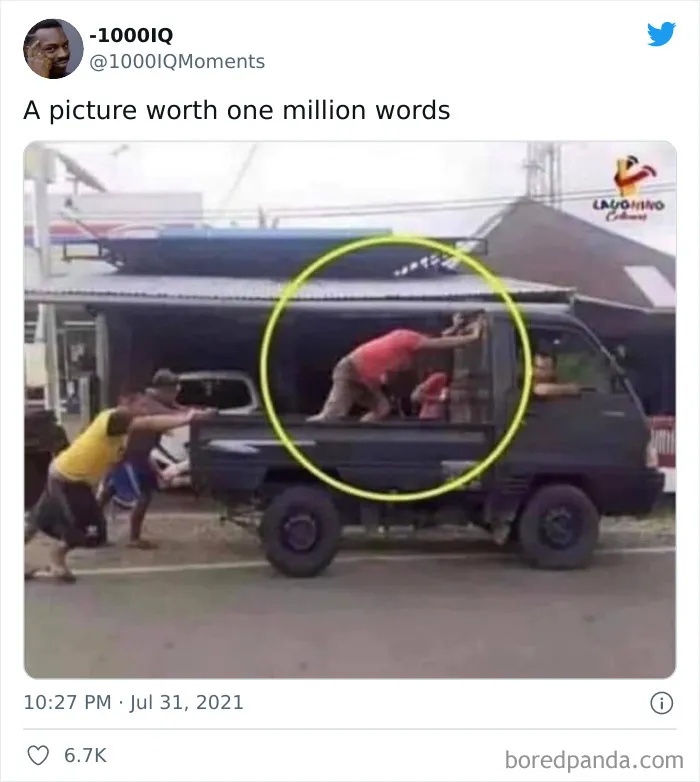 "This Page Will Lower Your IQ" - This Funny Twitter Account Shares -1000 IQ Moments