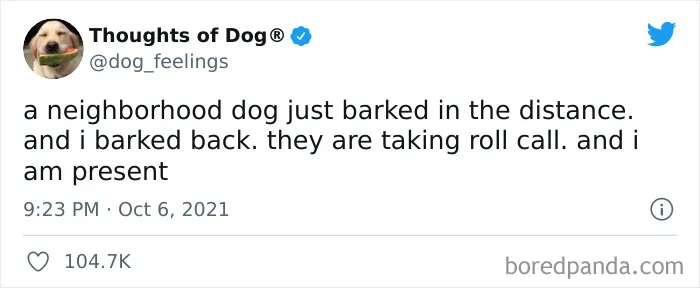 40 Of The Most Hilarious And Wholesome Dog Thoughts, As Shared By This Twitter Account (New Pics)